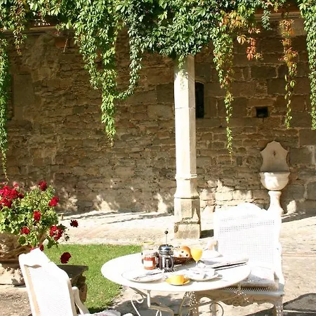 Chateau De Camon Bed & Breakfast *