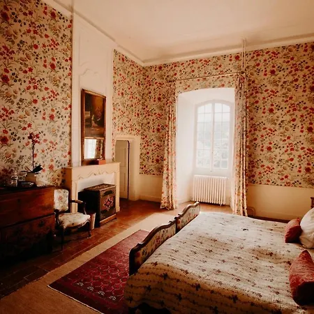 Chateau De Camon Bed & Breakfast *