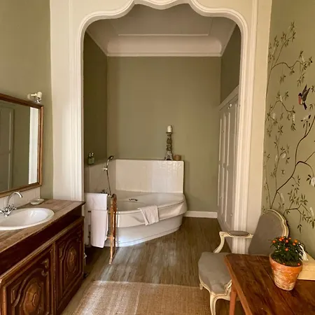 Chateau De Oda ve Kahvaltı Camon (Languedoc-Roussillon)