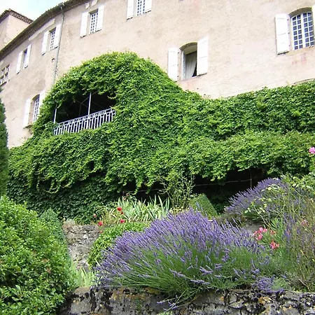 Chateau De Camon *