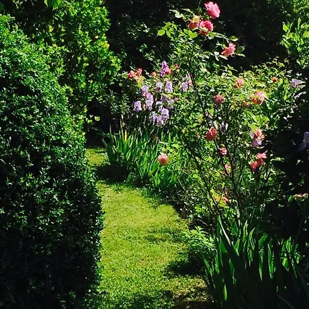 Chateau De Camon Bed & Breakfast *