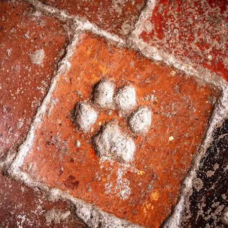 Bed & Breakfast Chateau De Camon (Languedoc-Roussillon)