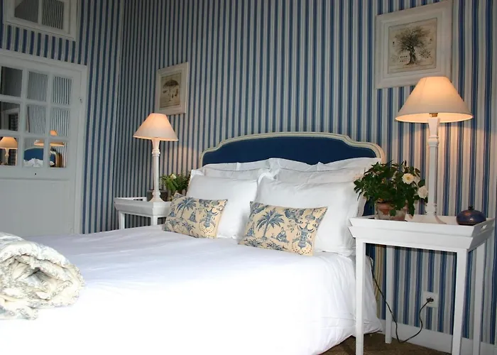 Chateau De Camon (Languedoc-Roussillon)