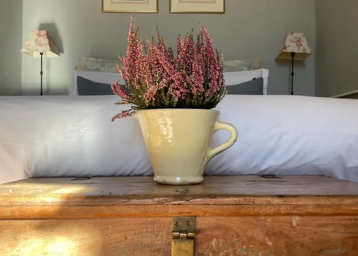 Couette-café Chateau De 4*