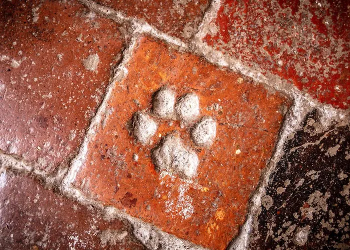 Bed & Breakfast Chateau De Camon (Languedoc-Roussillon)